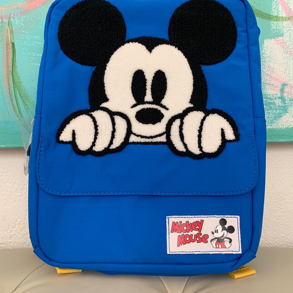 Mickey Mouse Disney backpack